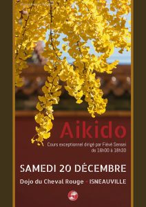 Isneauville,cours aikido,repas de Noël