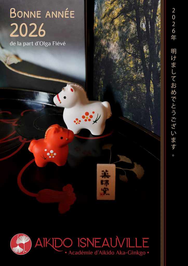 bonne année 2026,Kagami Biraki,aikido