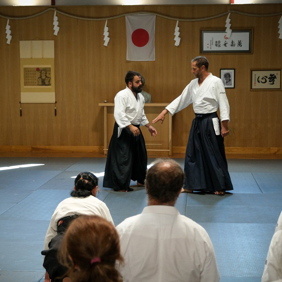 Aiki-Taijutsu