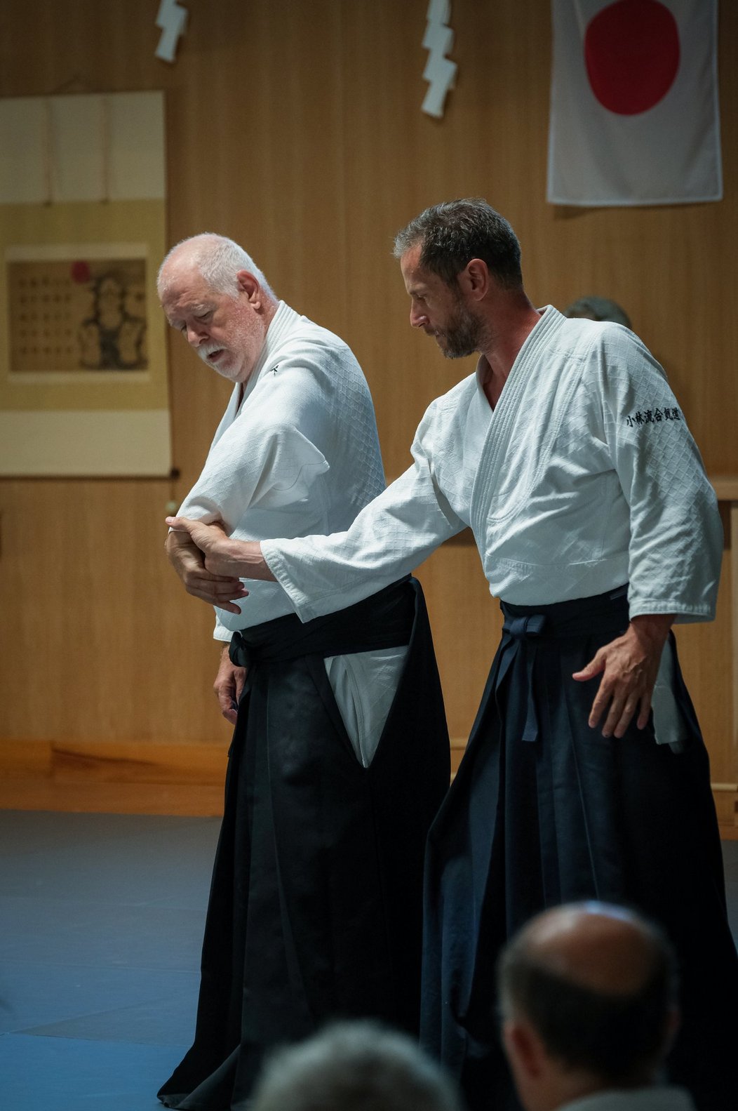 Aiki-Taijutsu